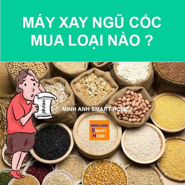 Máy xay ngũ cốc nên mua loại nào